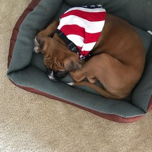 Meet your Posher, Christine